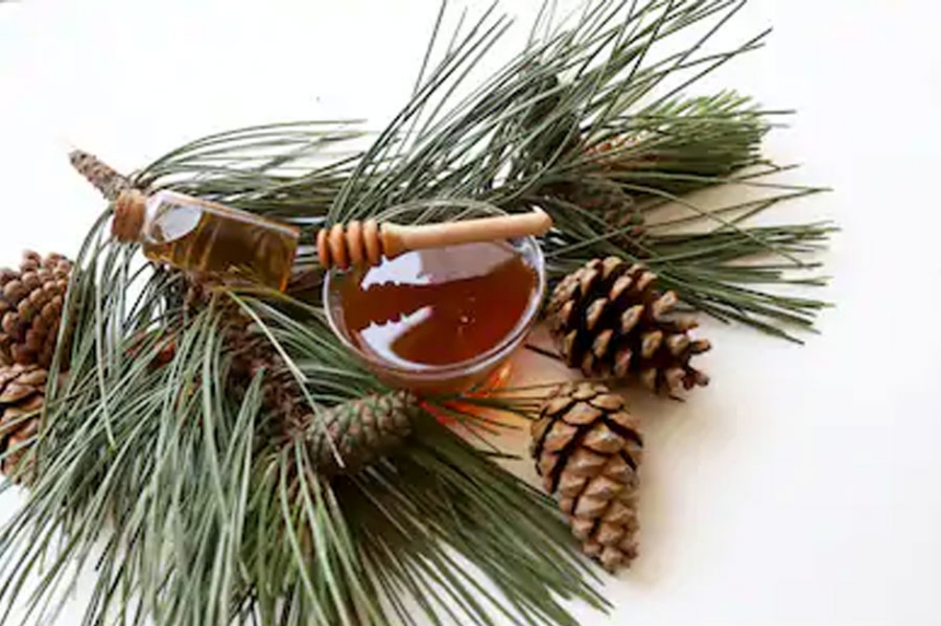 Greek Pine Tree Honey or FIR Honey 